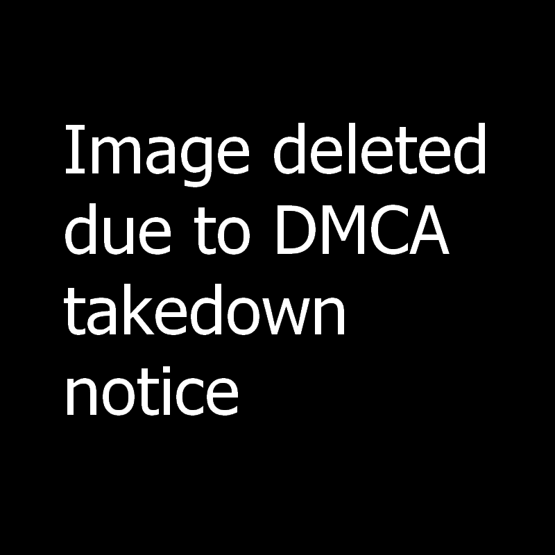 dmca takedown service