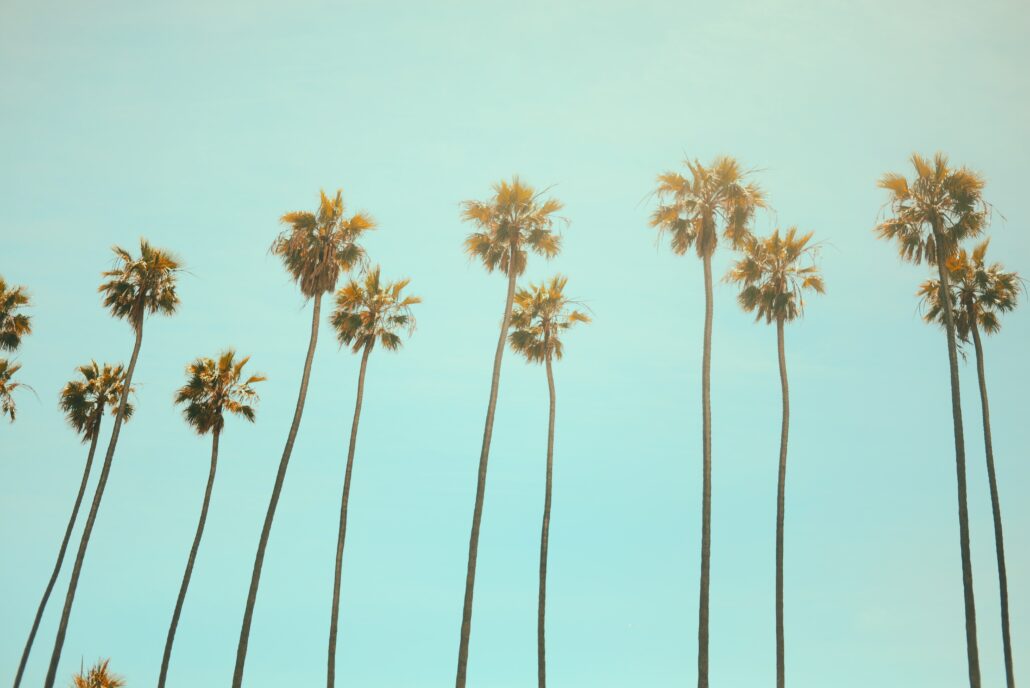 California Data Breach Notification Law: Key Update