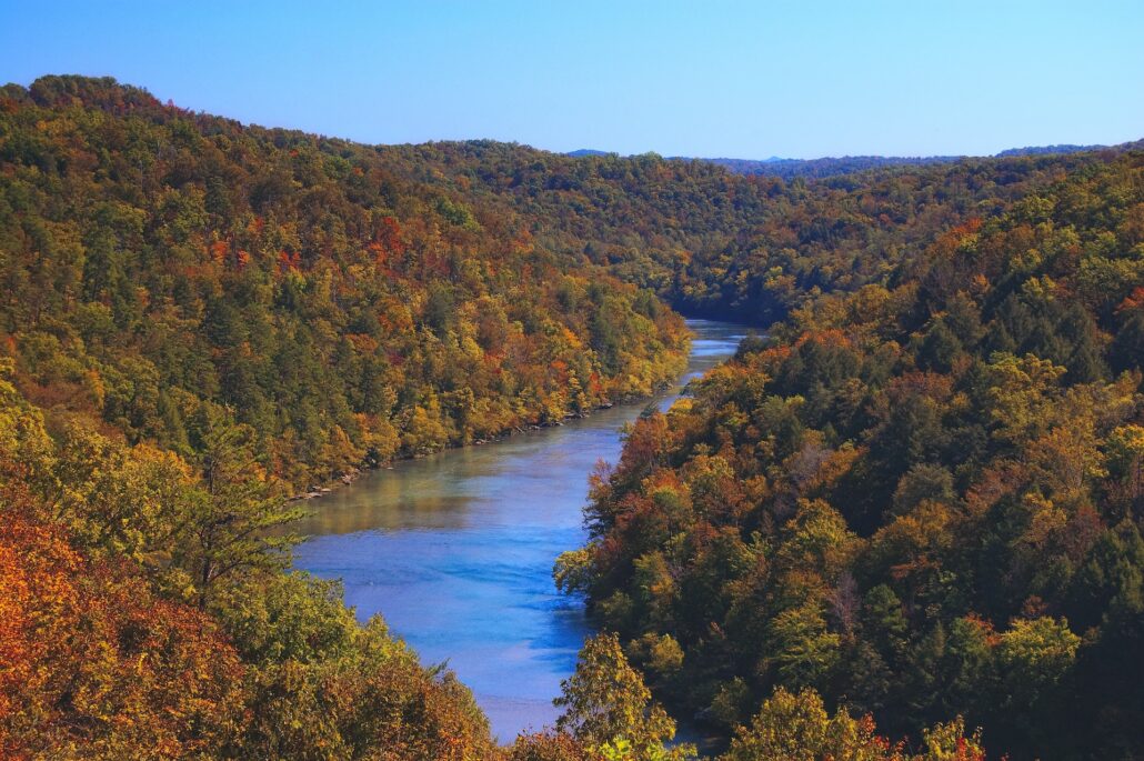 Can I Sue for Defamation in Kentucky Without a Lawyer?