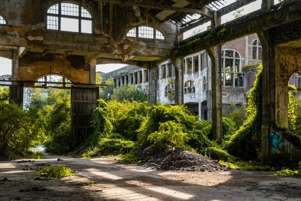Trademark Application Status: What Does Abandoned Mean?