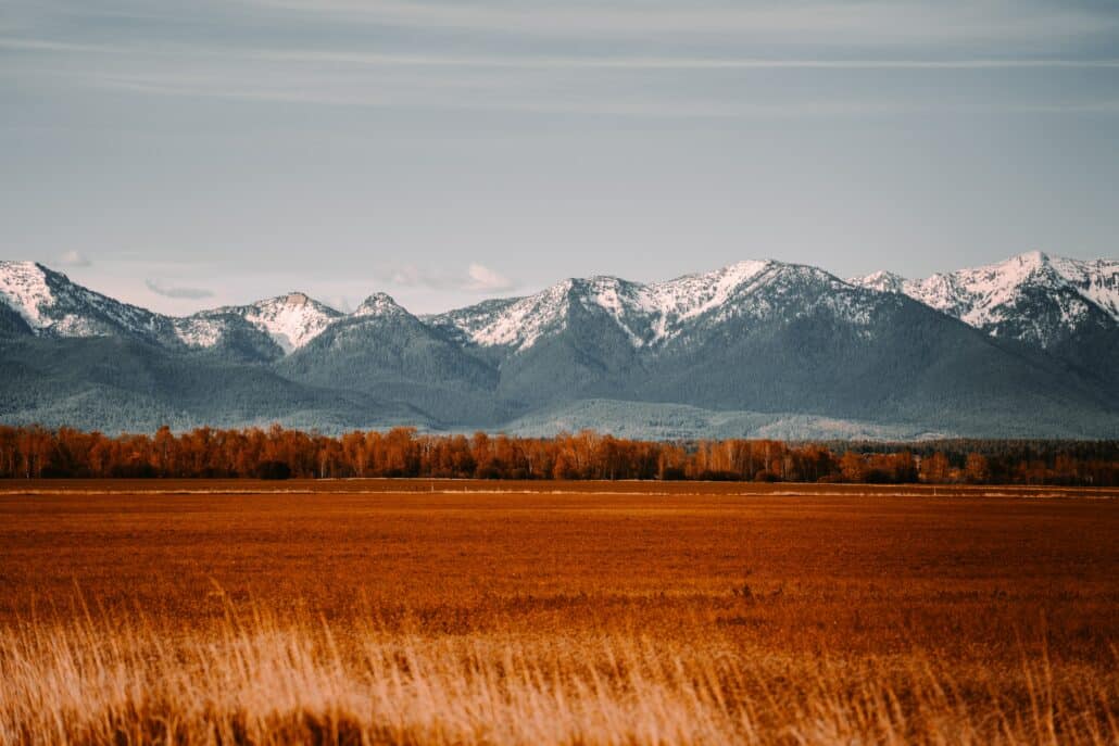 Montana Consumer Data Privacy Act: Summary (Part 2)