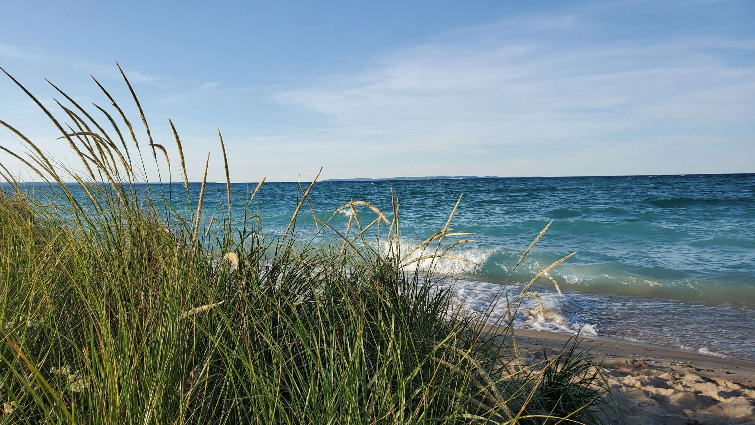 What Does a Michigan Trademark Lawyer Do?