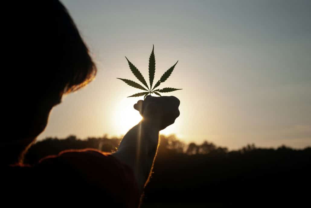 Why the USPTO Won’t Register Cannabis Trademarks