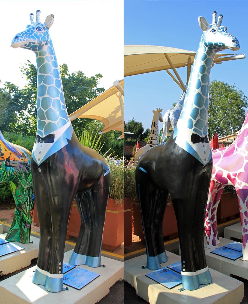 Does Your Terms of Service Protect Your Business?