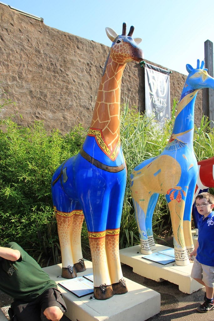 How a Social Media Lawyer Can Protect Your Business